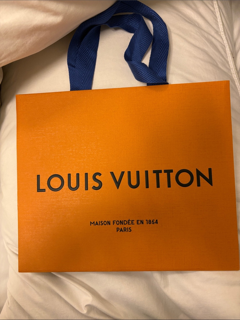 Luis Vuitton bag New